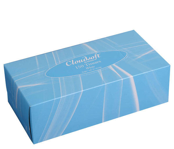 CLOUDSOFT 2ply WHITE FACIAL TISSUE