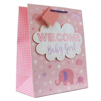 Large Baby Girl Gift Bag