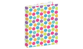 Binder 2-Ring A4 Spots ring binder