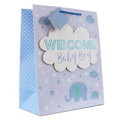 Welcome Baby Boy Gift Bag